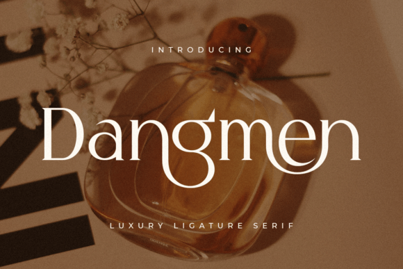 Dangmen: The Balanced Serif Font for Elegant Projects