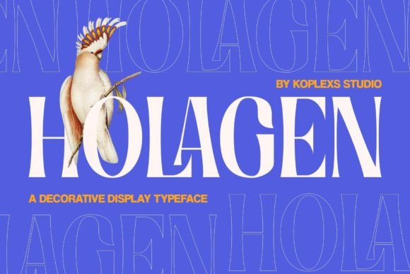 Enhancing Design Workflows with Holagen: A Versatile Typeface for Creative Professionals