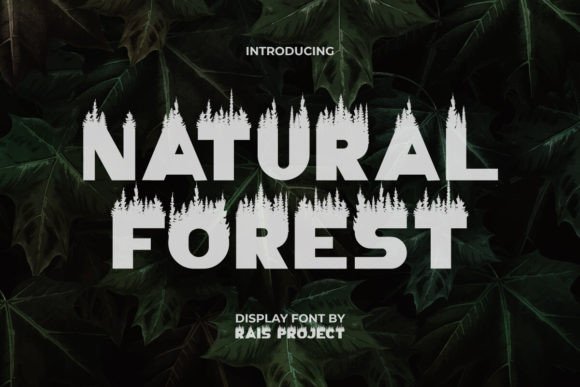 Natural Forest: A Balanced Evaluation of a Playful Decorative Typeface